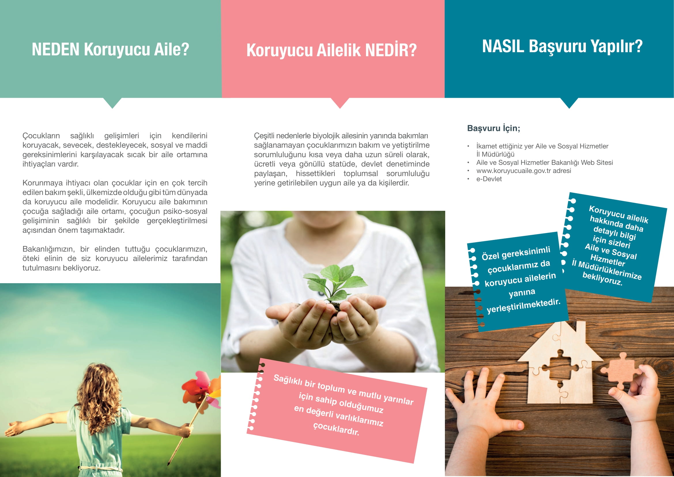 Namık Kemal Üniversitesi2